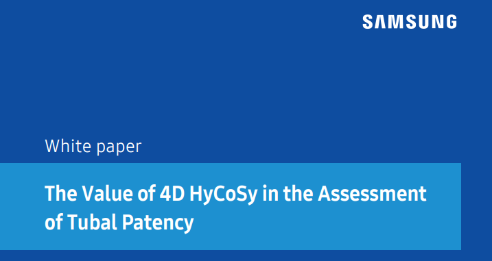 White Paper on 4D HyCoSy for Tubal Patency Assessment in Infertility Diagnosis