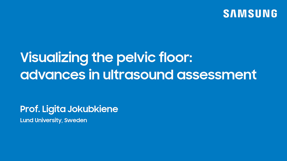Webinar on pelvic floor ultrasound highlighting advances in ultrasound assessment for clinical evaluation