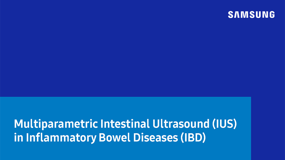 White paper on intestinal ultrasound in IBD using a multiparametric evaluation approach
